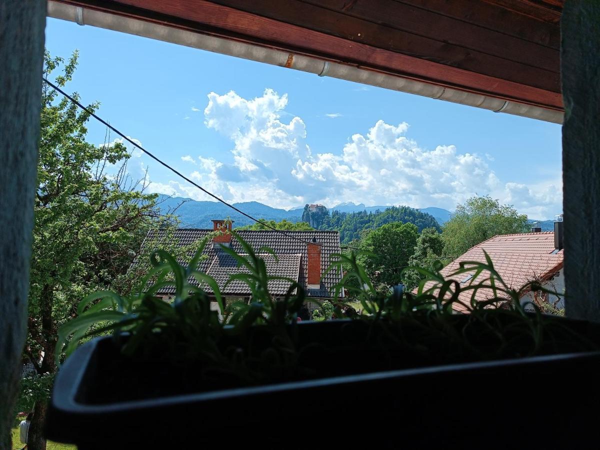 Pr Mocnk Hostel Bled Bagian luar foto